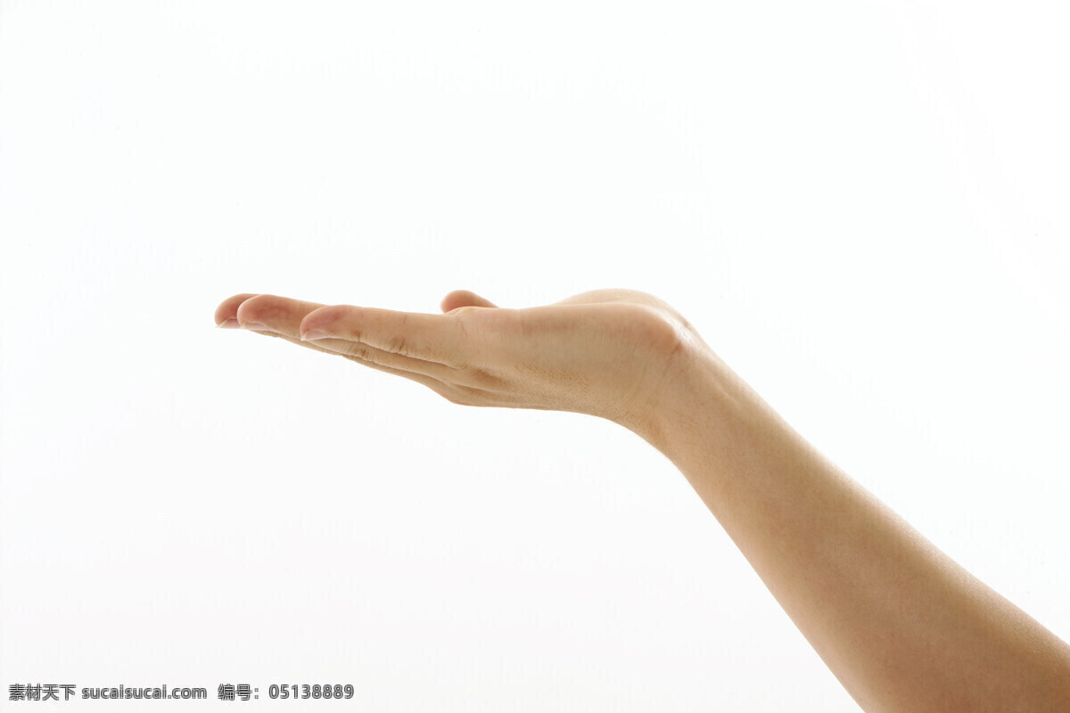 禮儀 手勢(shì) 手 歡迎 手掌 手語(yǔ) 攝影圖 高清圖片 人體器官圖 人物圖片