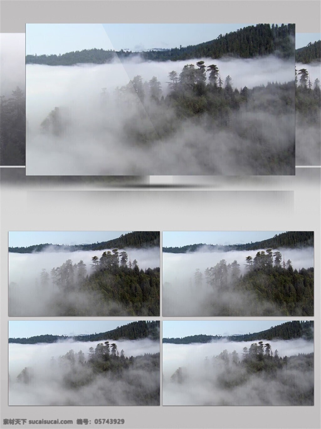 雾气 包围 山林 视频 音效 壮观 唯美 空气清新 树林 视频素材 仙气 高海拔 视频音效