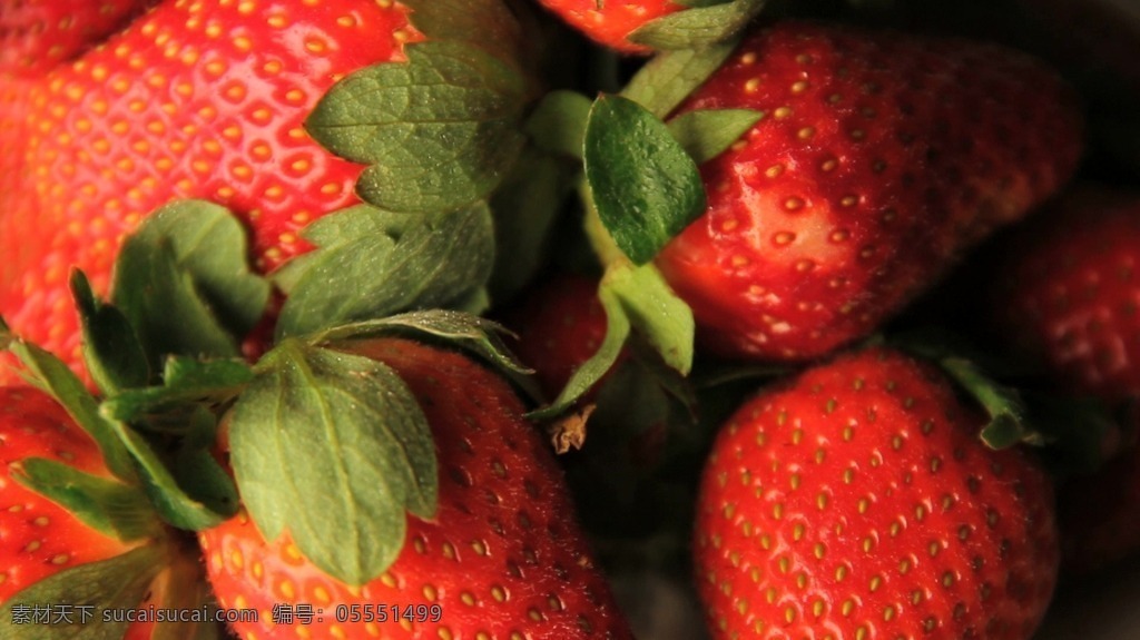 新鲜 饱满 草莓 翠绿 叶子 水果 距离 高清 视频 实拍 翠绿叶子