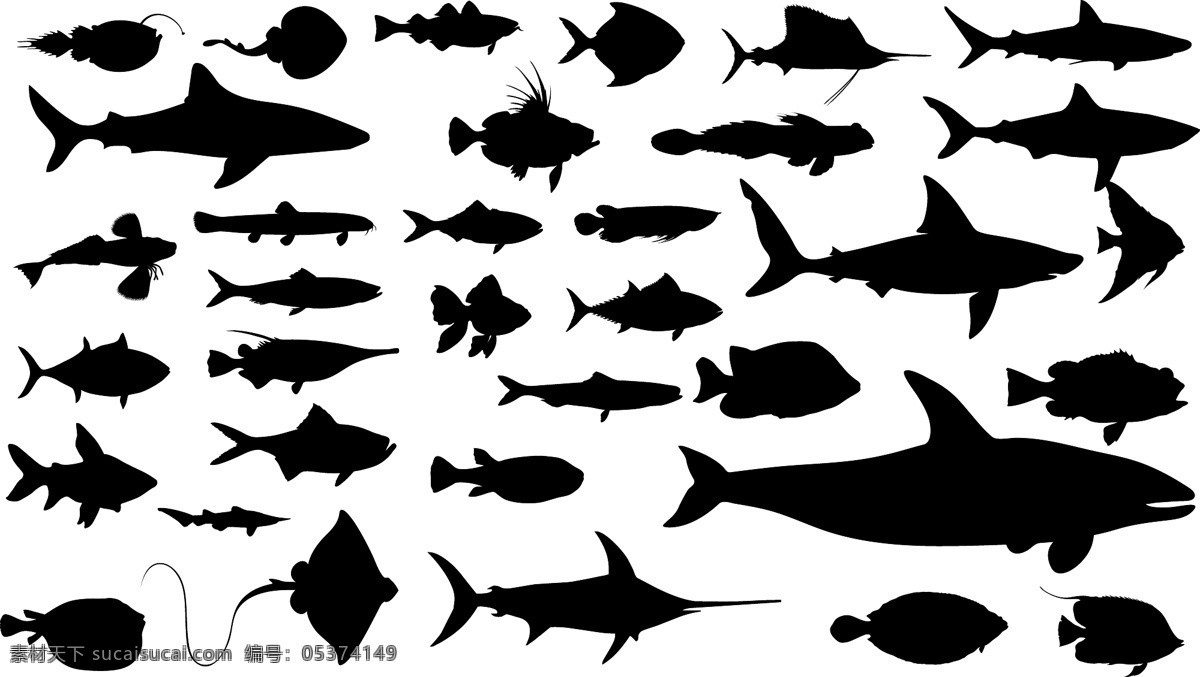 深海鱼图片 鱼 深海鱼 剑鱼 鲨鱼 鱼剪影 深海剪影