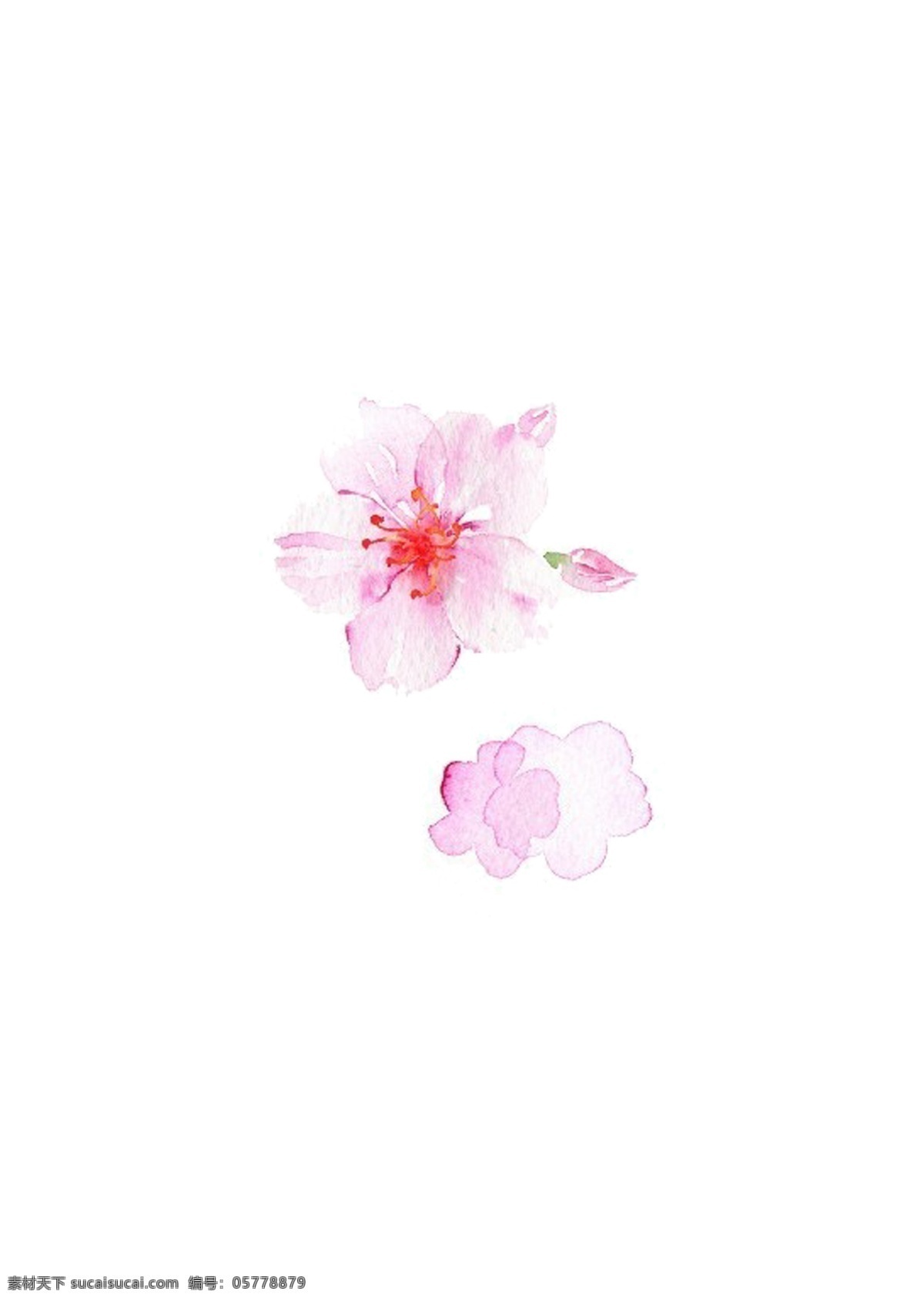 手繪 小 清新 粉色 桃花 水彩畫 小清新 分層 手賬素材 海報(bào)素材
