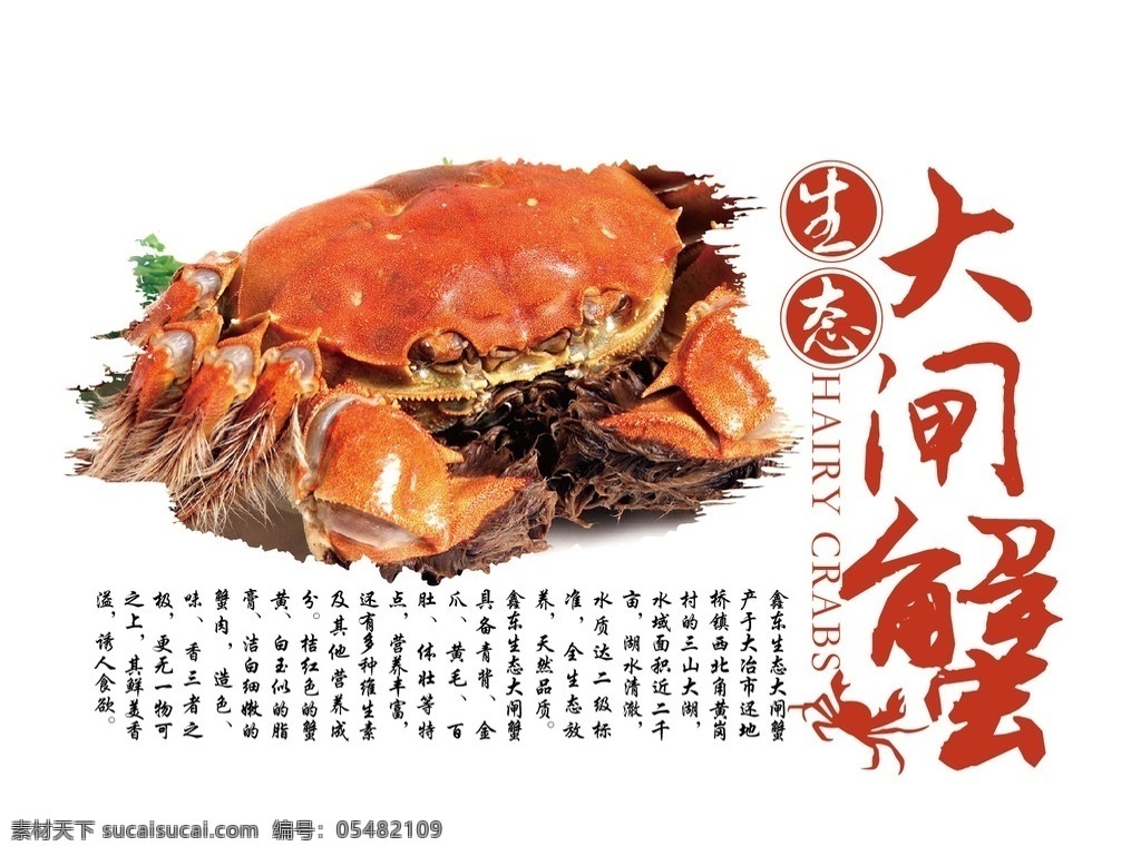 大閘蟹 標(biāo)簽 蟹 螃蟹 海鮮 美食 蟹禮 陽(yáng)澄湖 蟹上市 美食海報(bào) 餐飲海報(bào) 大閘蟹海報(bào) 大閘蟹促銷 中國(guó)風(fēng)海報(bào) 精品大閘蟹 陽(yáng)澄湖大閘蟹 包裝設(shè)計(jì)