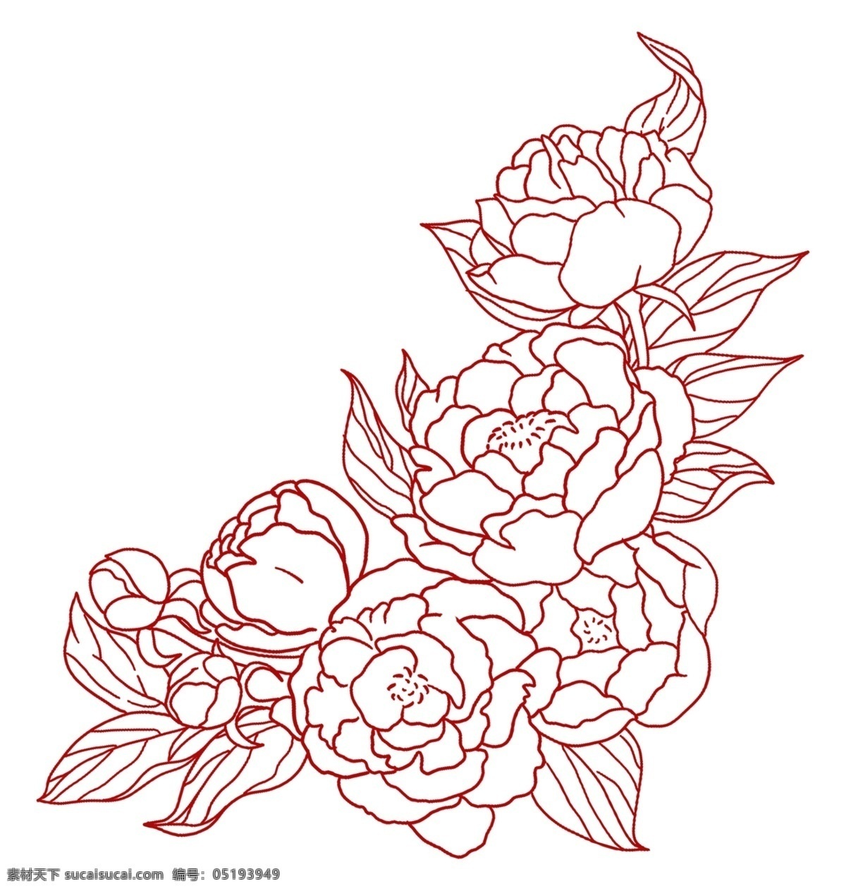 牡丹 花线 稿 素材图片 牡丹插画 手绘牡丹 手绘牡丹插画 牡丹国画 牡丹花国画 水彩牡丹花 水墨牡丹 卡通牡丹 牡丹线稿 矢量牡丹 矢量牡丹插画 手绘矢量牡丹 牡丹简笔画 牡丹素材 牡丹元素 牡丹背景 粉色花卉 手绘花卉 水彩花卉 原创手绘 写意牡丹 国色天香 富贵呈祥 手绘 牡丹花 卡通设计