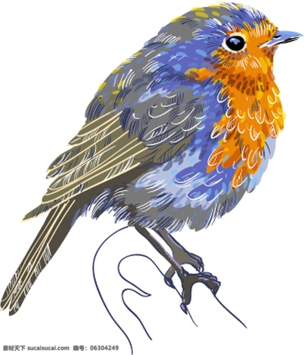 手绘 彩绘 小鸟 鸟类 站立 彩色 绘画 装饰画