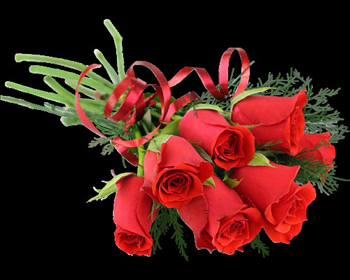 红玫瑰 情人节 元素 2月14日 爱情 花束 节日素材 浪漫 情人节装饰 设计元素 唯美 西方情人节