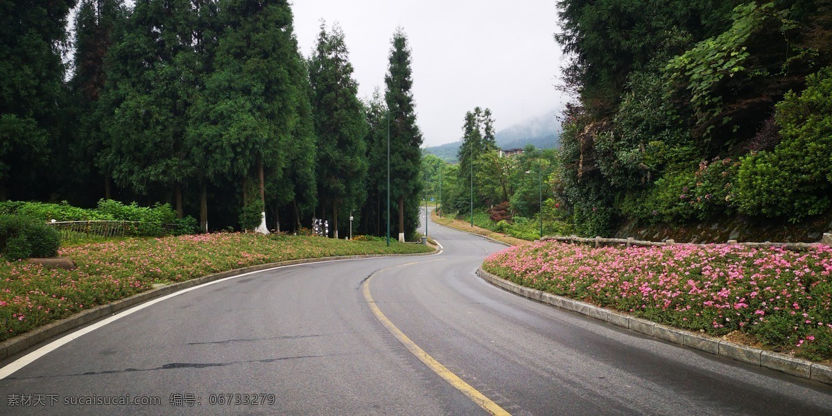 蜿蜒 美麗 山路 道路 鮮花 七里坪 自然景觀 自然風(fēng)景
