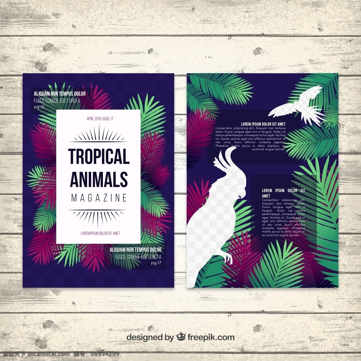 创意 热带 动物 杂志 内页 矢量 棕榈树 鹦鹉 鸟 剪影 矢量图