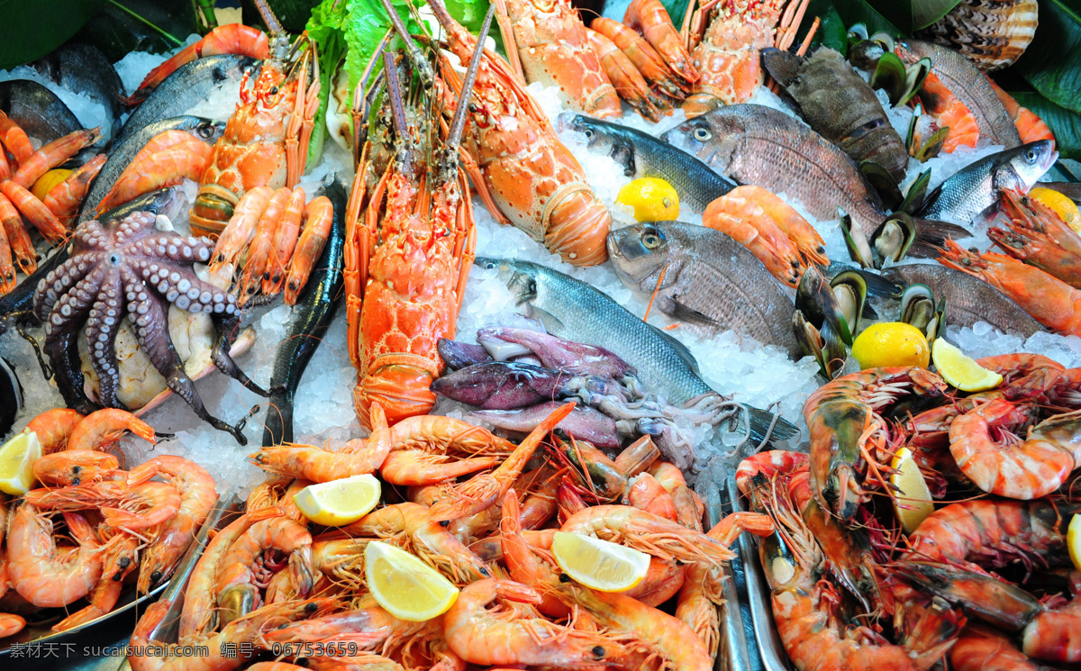 冰凍的海鮮 海鮮 海產(chǎn)品 章魚 海魚 龍蝦 波士頓龍蝦 海蝦 三文魚刺身 虎蝦 斑節(jié)蝦 基圍蝦 鰲蝦 青蝦 白蝦 海鮮大咖 海鮮組合 冰塊 冰凍 水產(chǎn) 食物 食材 美味的海鮮 高清圖片 餐飲美食 食物原料