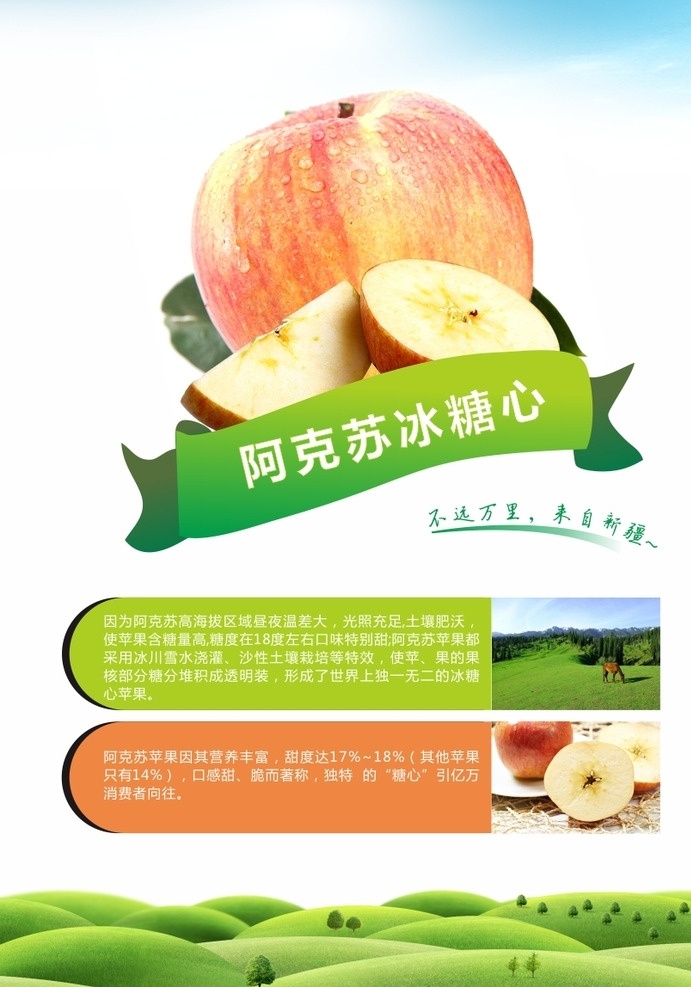 蘋果介紹 水果 蘋果 介紹 蘋果園 山