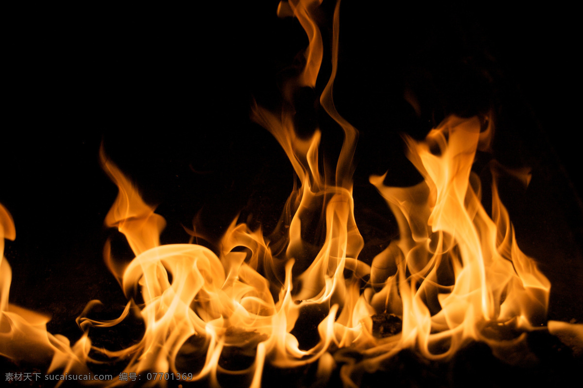 火焰火苗燃烧 火焰 火苗 火焰火苗 炙热 燃烧 燃烧的火苗 炙热的火焰 生活百科 生活素材