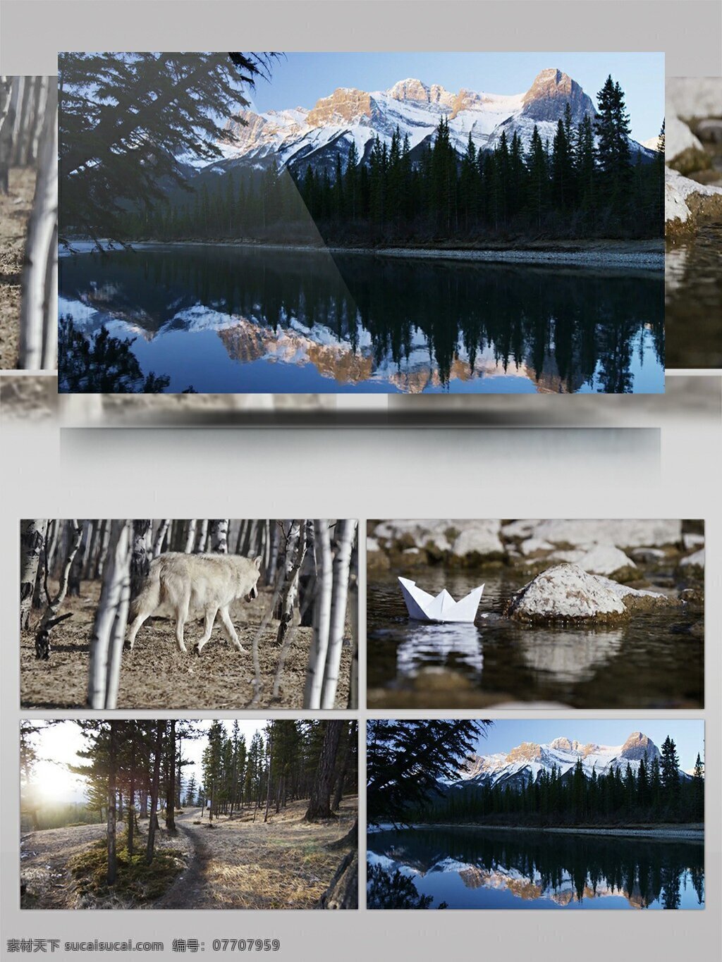 雪山 风景 森林 动物 高清 视频 高清视频素材 森林动物 雪山风景