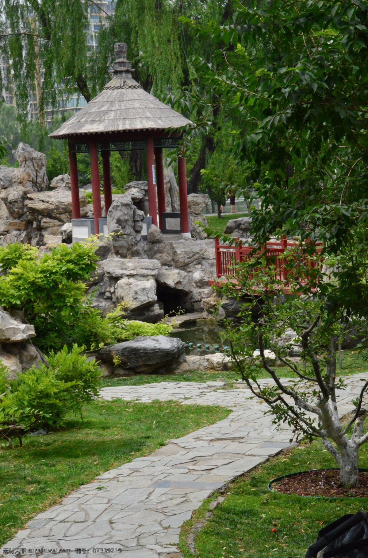 公園風景 園林風景 龍?zhí)逗L景 柳樹 涼亭 小路 植物 龍?zhí)逗谰?園林美景 公園美景 園林景觀 建筑園林 園林建筑