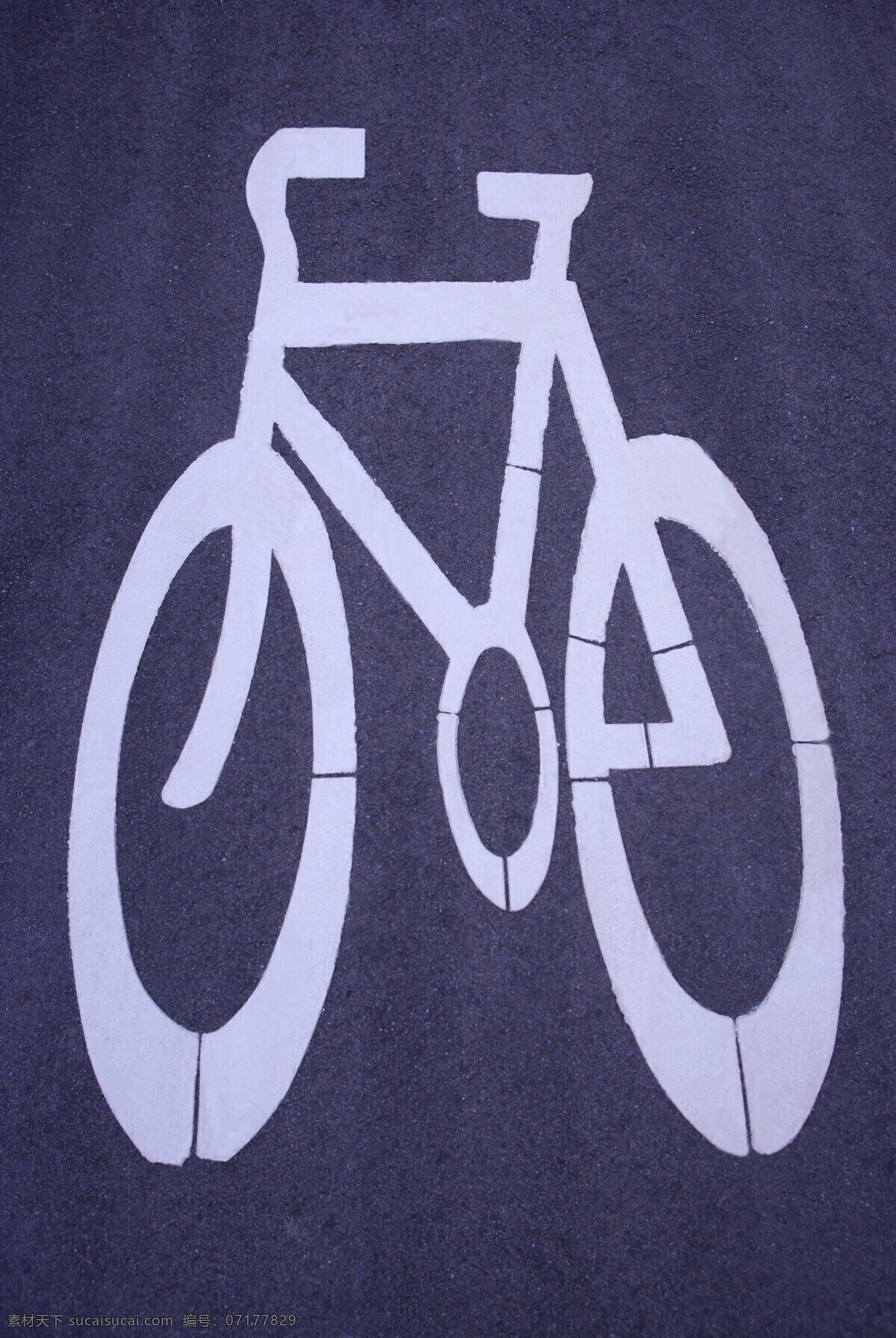 親子 休閑 腳踏車(chē) 草坪 車(chē)道 風(fēng)景 戶(hù)外運(yùn)動(dòng) 賽車(chē) 自行車(chē)