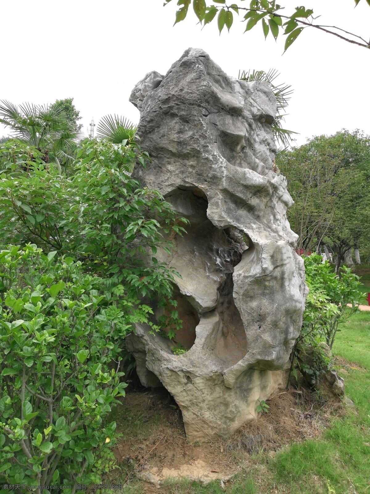 怪石 假山 石头 奇石 自然景观 自然风景