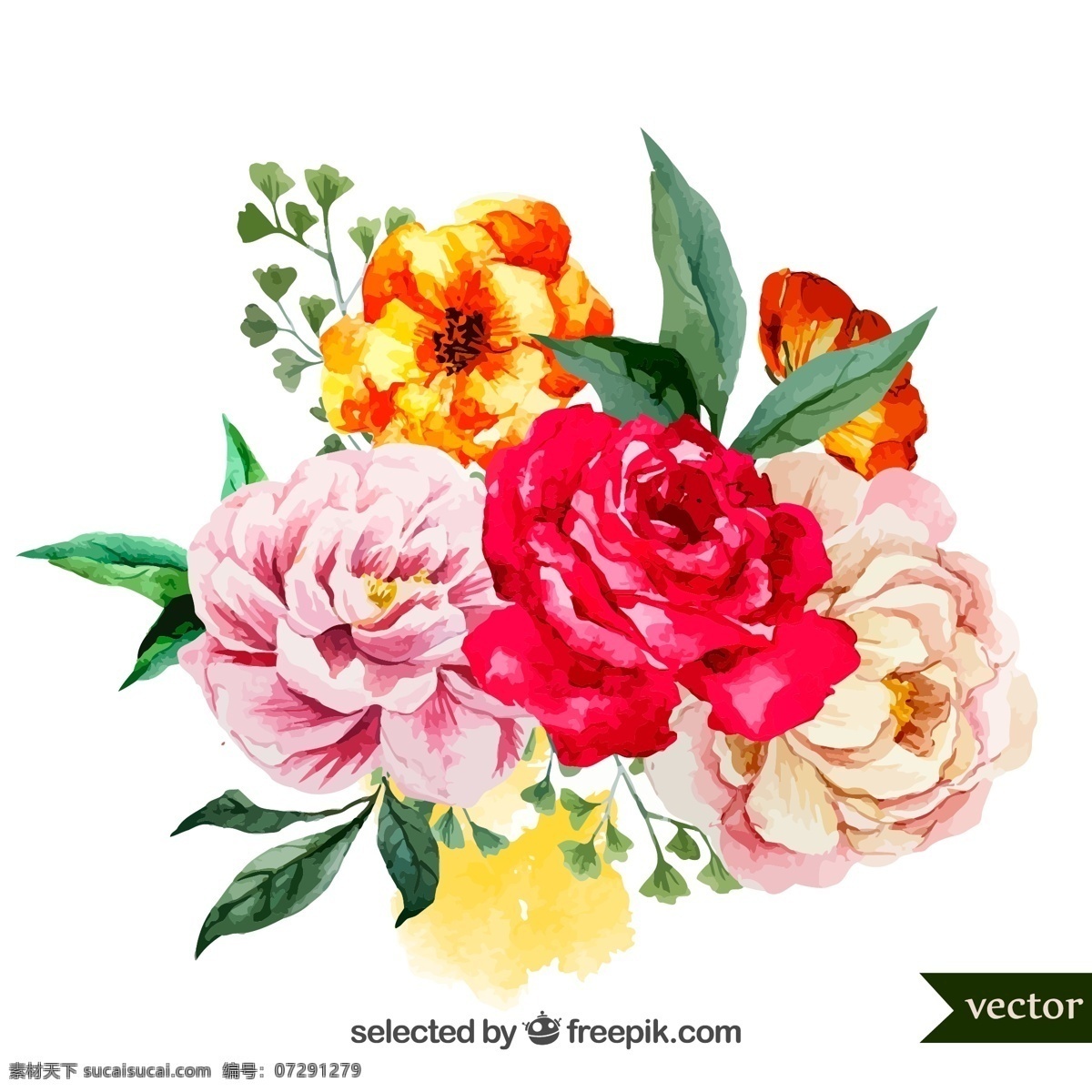 花卉 水彩 玫瑰花 牡丹花 花朵 水彩花 矢量圖 名片 海報 唯美 美容