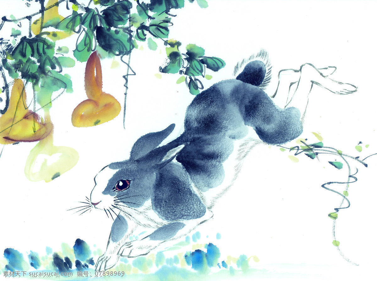 兔子 十二生肖 中国画 设计素材 中国画篇 书画美术 白色