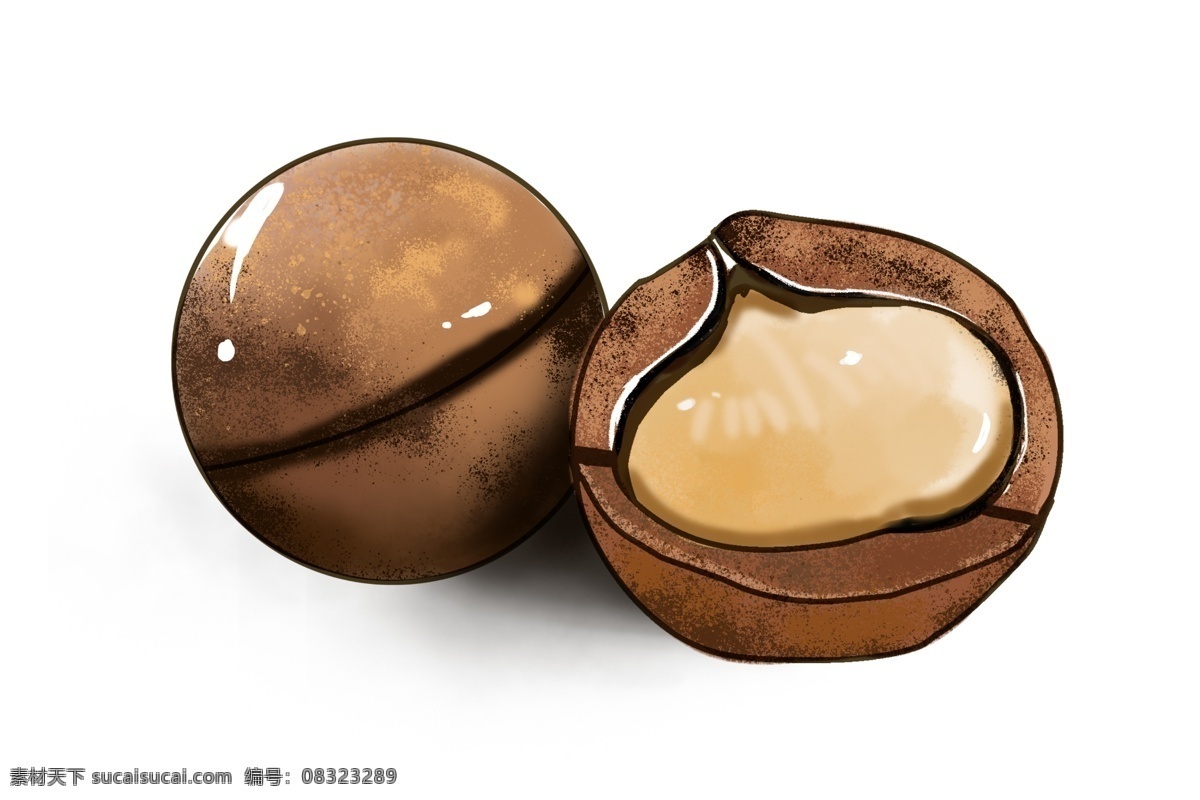 堅果 夏威夷果 插畫 白色的果仁 卡通插畫 堅果插畫 小吃插畫 干果插畫 休閑干果 美味的堅果