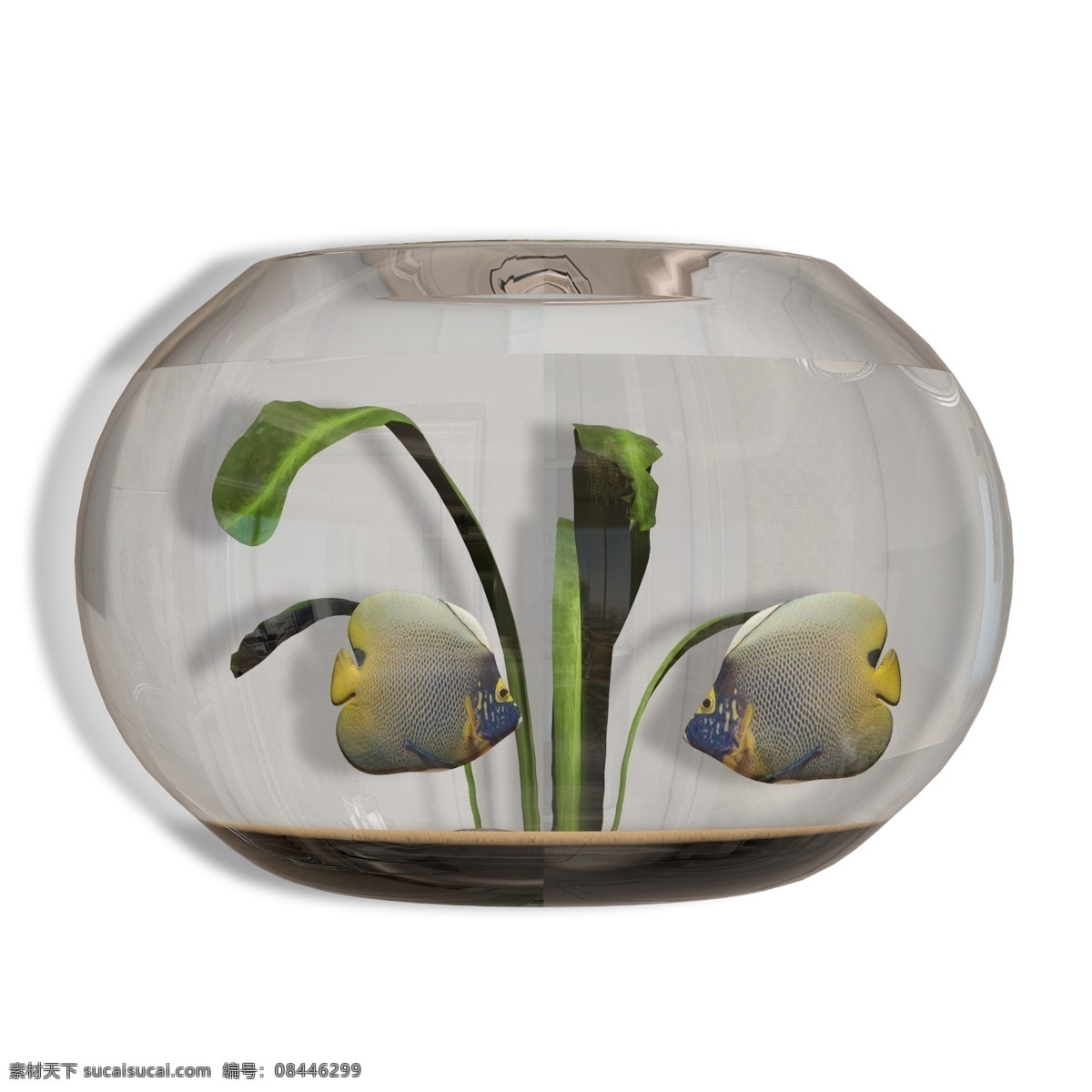 家居装饰 圆形 鱼缸 圆形鱼缸 玻璃鱼缸 鱼 热带鱼 观赏鱼 养鱼 鱼类 玻璃缸 玻璃 玻璃制品
