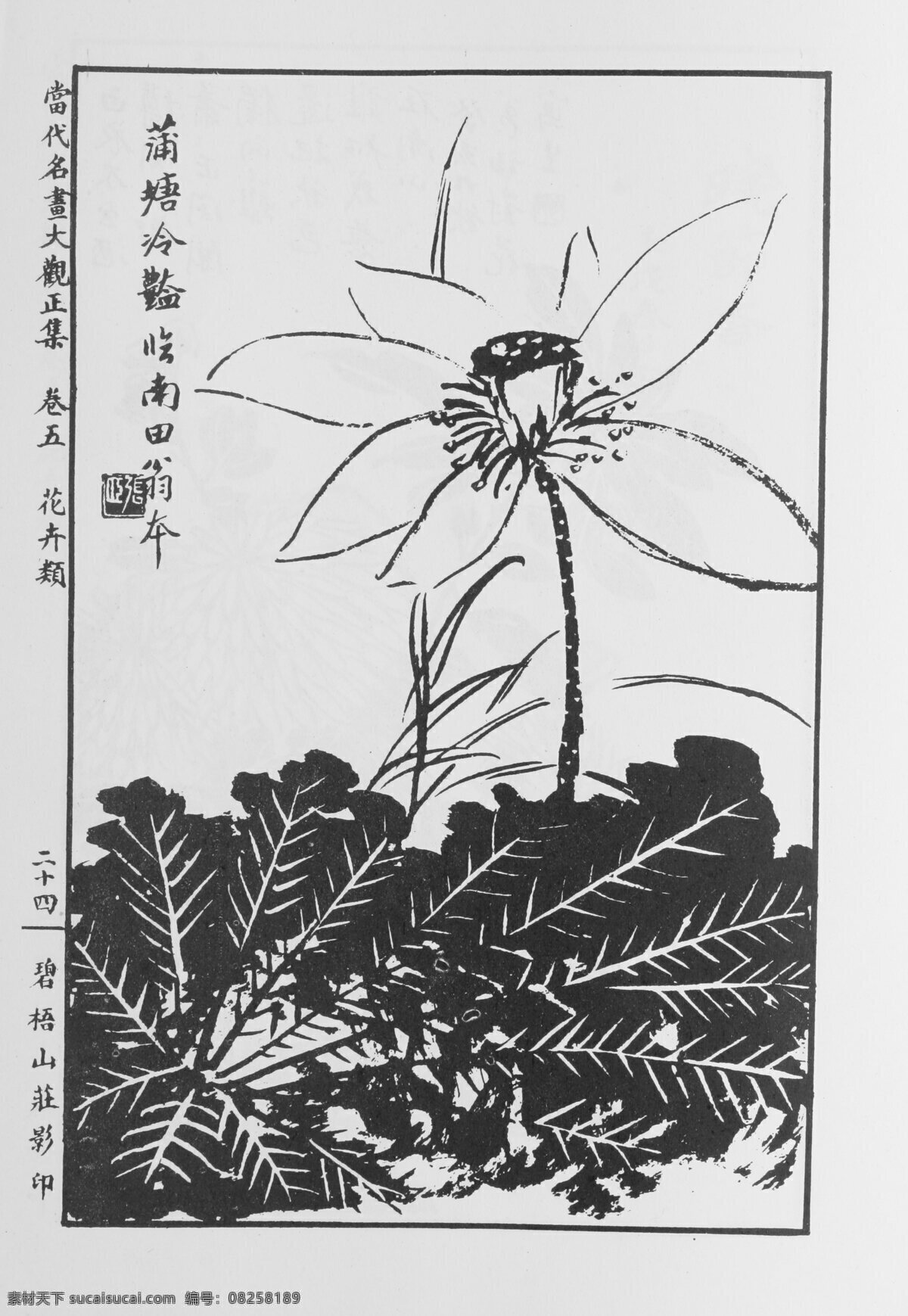 花卉畫 中國畫 當代 名畫 大觀 正 集 設計素材 花鳥畫篇 中國畫篇 書畫美術 白色