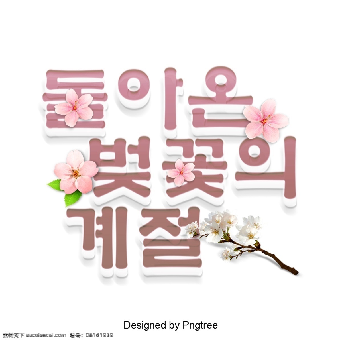 现代 时尚 樱花 季节 来自 韩国 美丽 景象 乳糜腹水 现场 自然 字形 动画片 新鲜