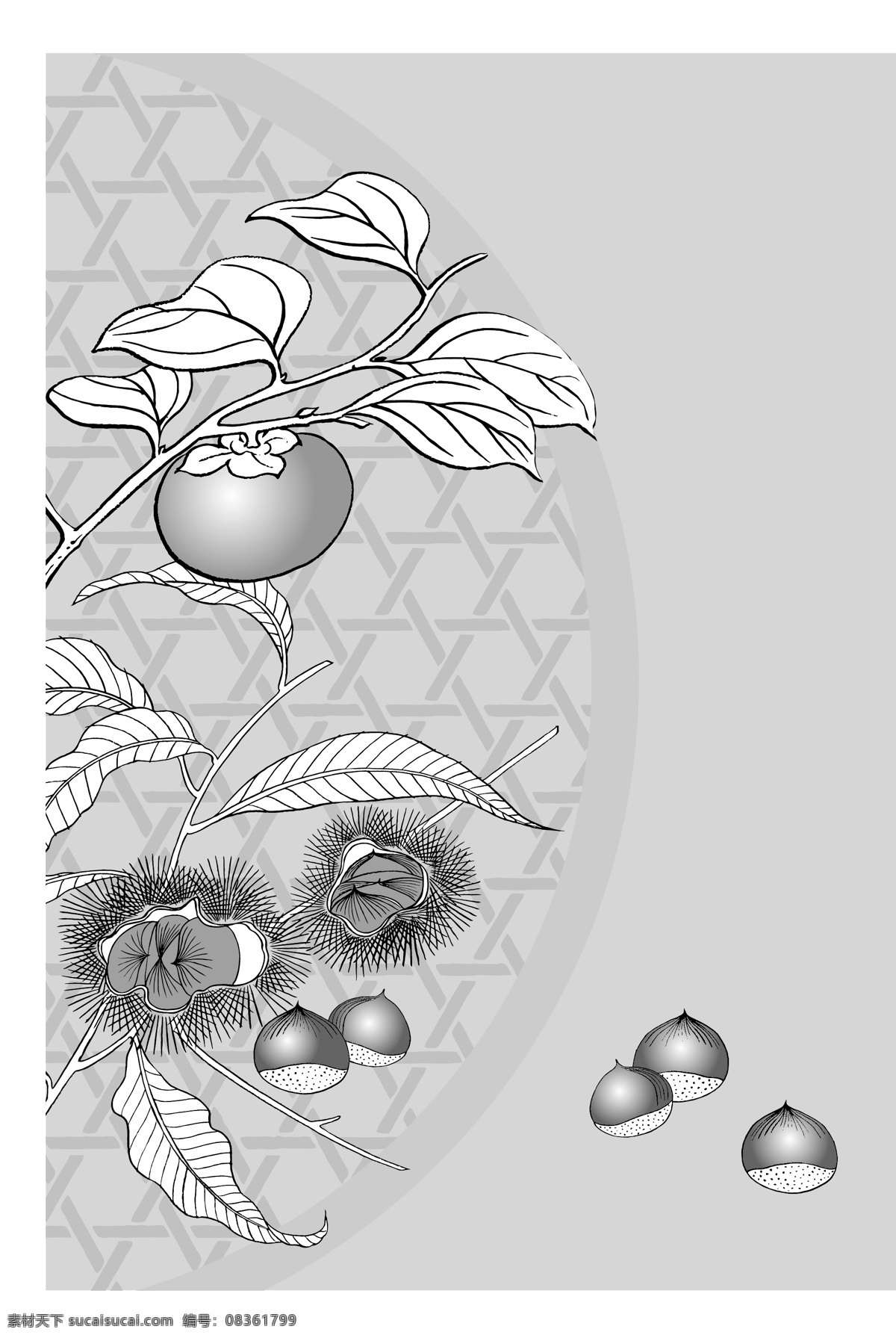 日本 线描 植物 花卉 矢量 栗子 柿子 勾线 花朵 枝叶 花型 黑白 矢量元素 卡通设计