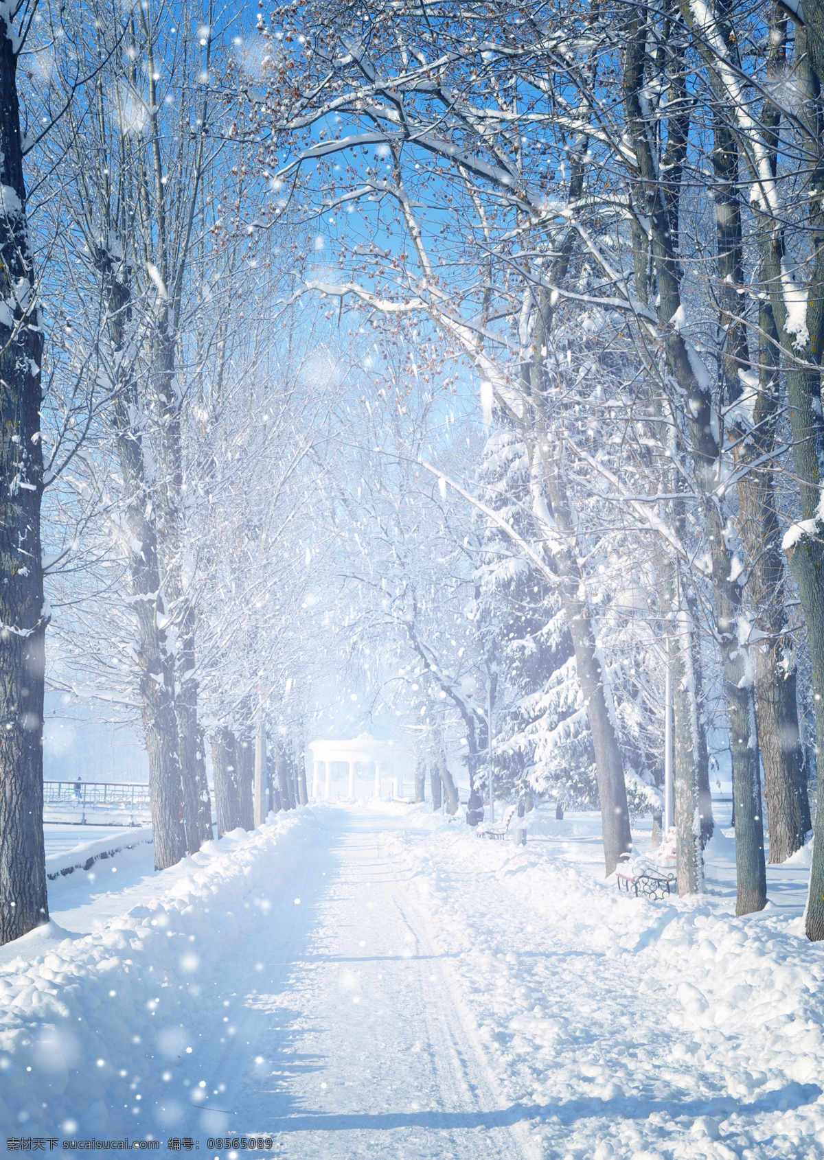 冬日 积雪 下 道路 冬天风景 雪景 道路交通 树林树木 自然风景 自然景观