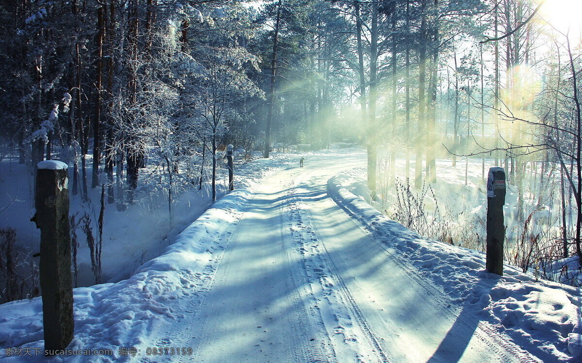 白雪皚皚 純白 景色 高清 白雪 冬日 樹木 日光 雪景 風(fēng)景 旅游攝影 自然風(fēng)景