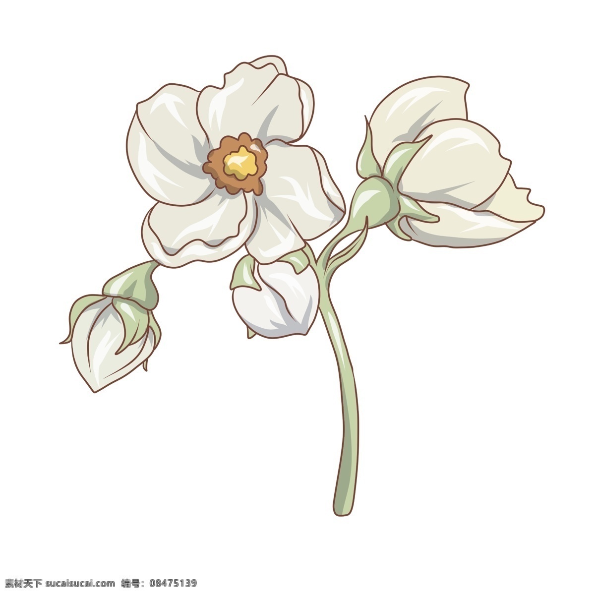 小 清新 白色 唯美 水彩 花卉 花朵 小清新 白色花卉 水彩花卉 水彩花朵 白色花朵 清新花朵 插画 鲜花