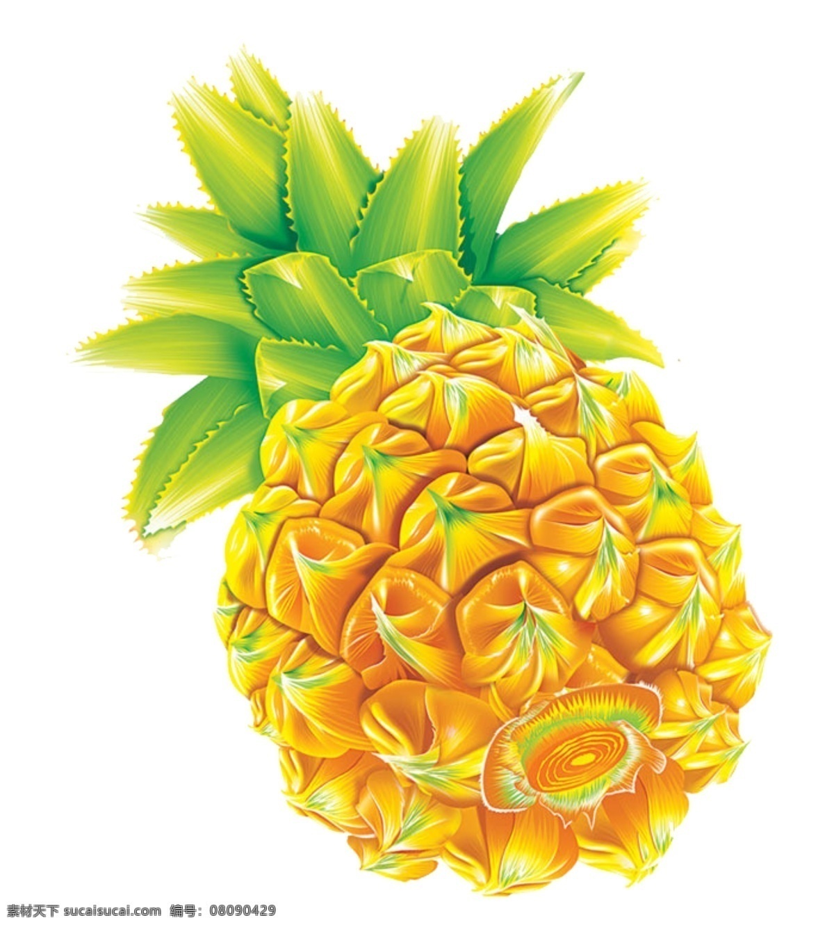 菠蘿 水果 psd源文件