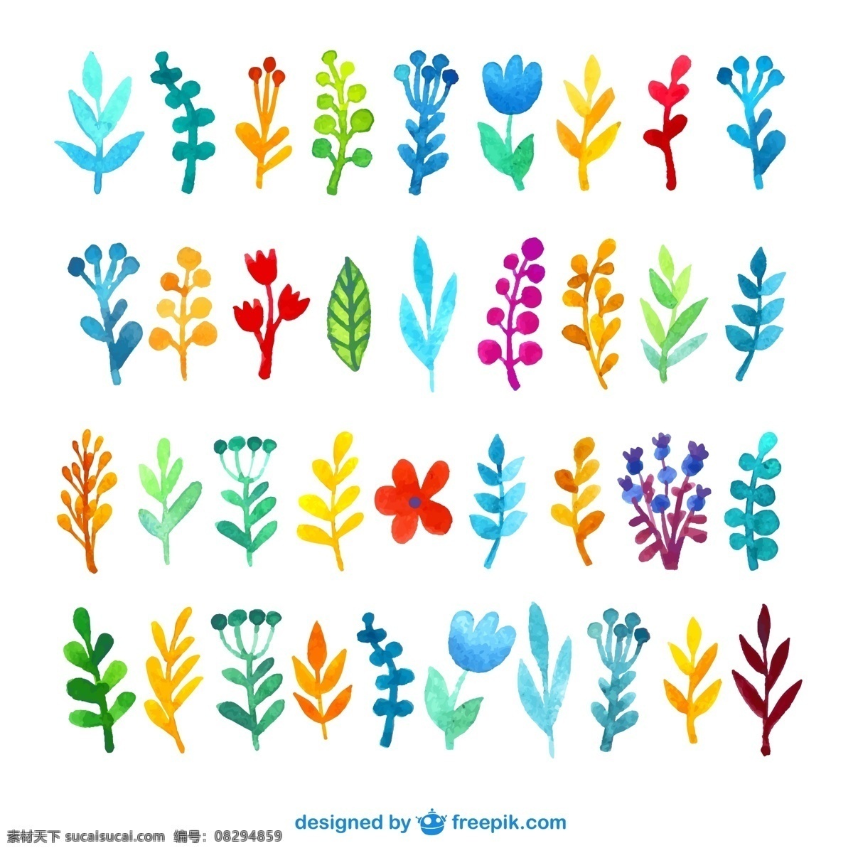 水彩 植物 矢量 花朵 花卉 叶子 高清图片