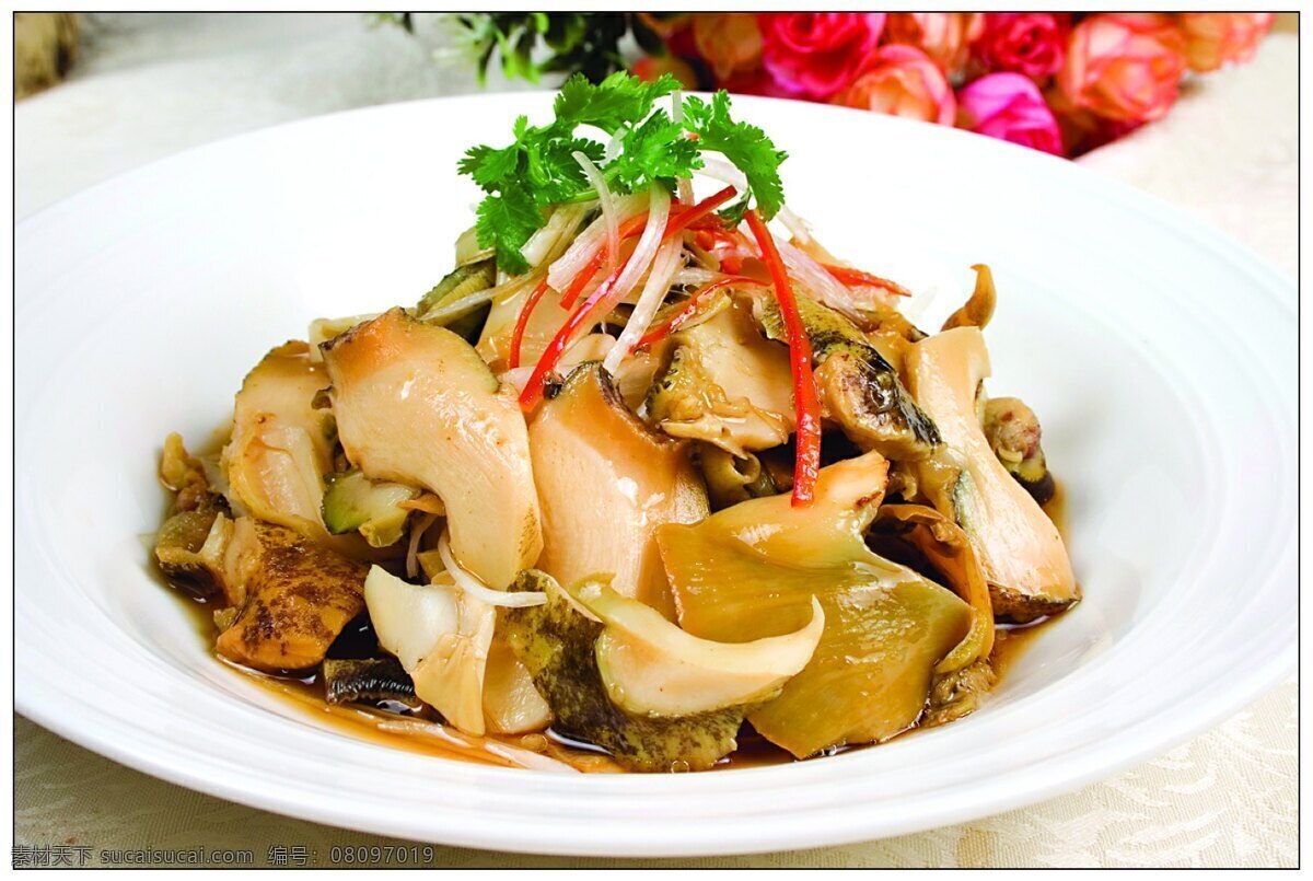 溫拌海螺 美食攝影 傳統(tǒng)菜 家常菜 傳統(tǒng)美食 菜 餐飲美食