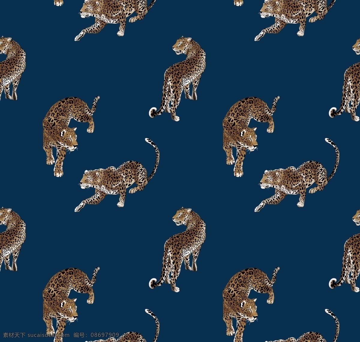 老虎 豹子图片 动物 大牌 豹子 印花 服装设计