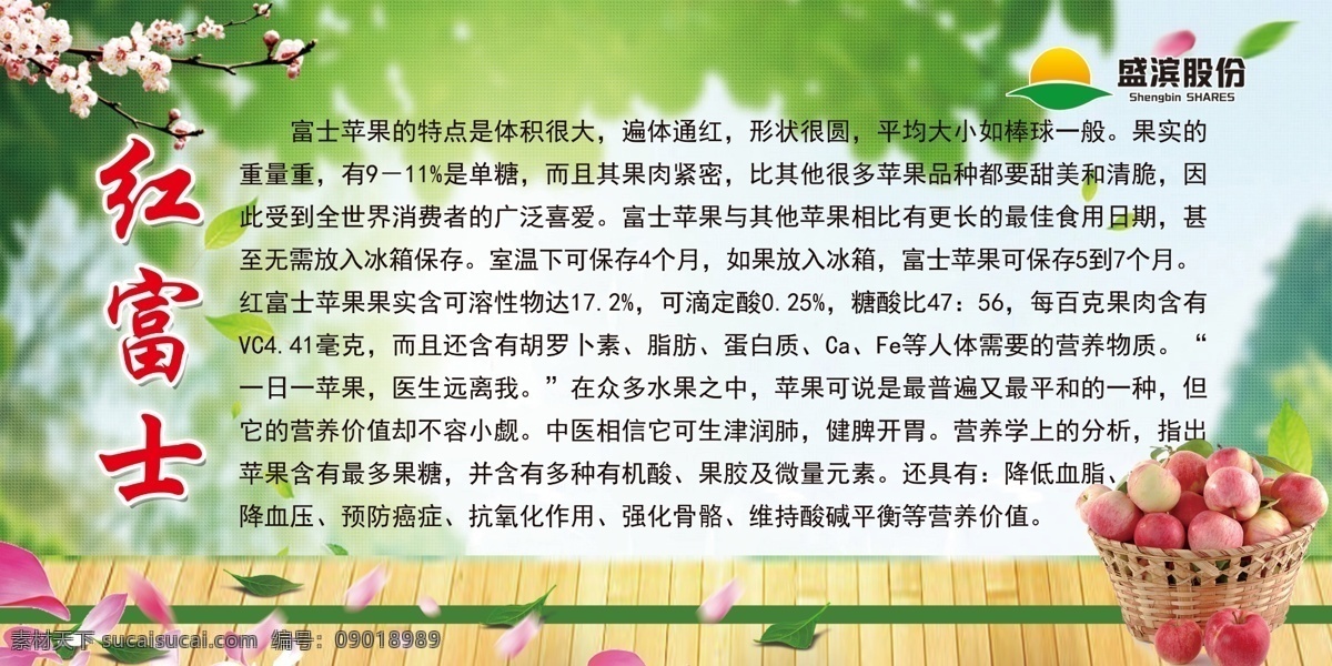 红富士 苹果 红富士苹果 一篮子苹果 苹果简介 枝头花 苹果展板 分层