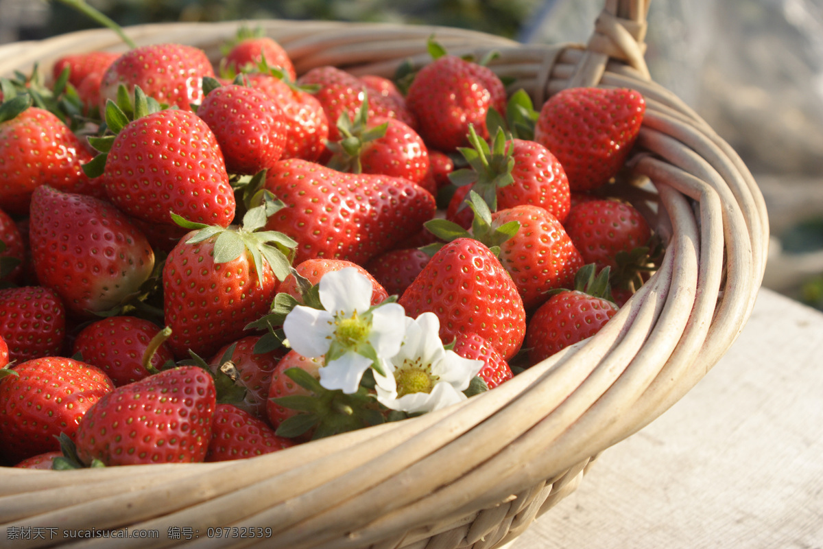 高清晰 草莓 原创 水果草莓 生物世界 水果 图 摄影图库