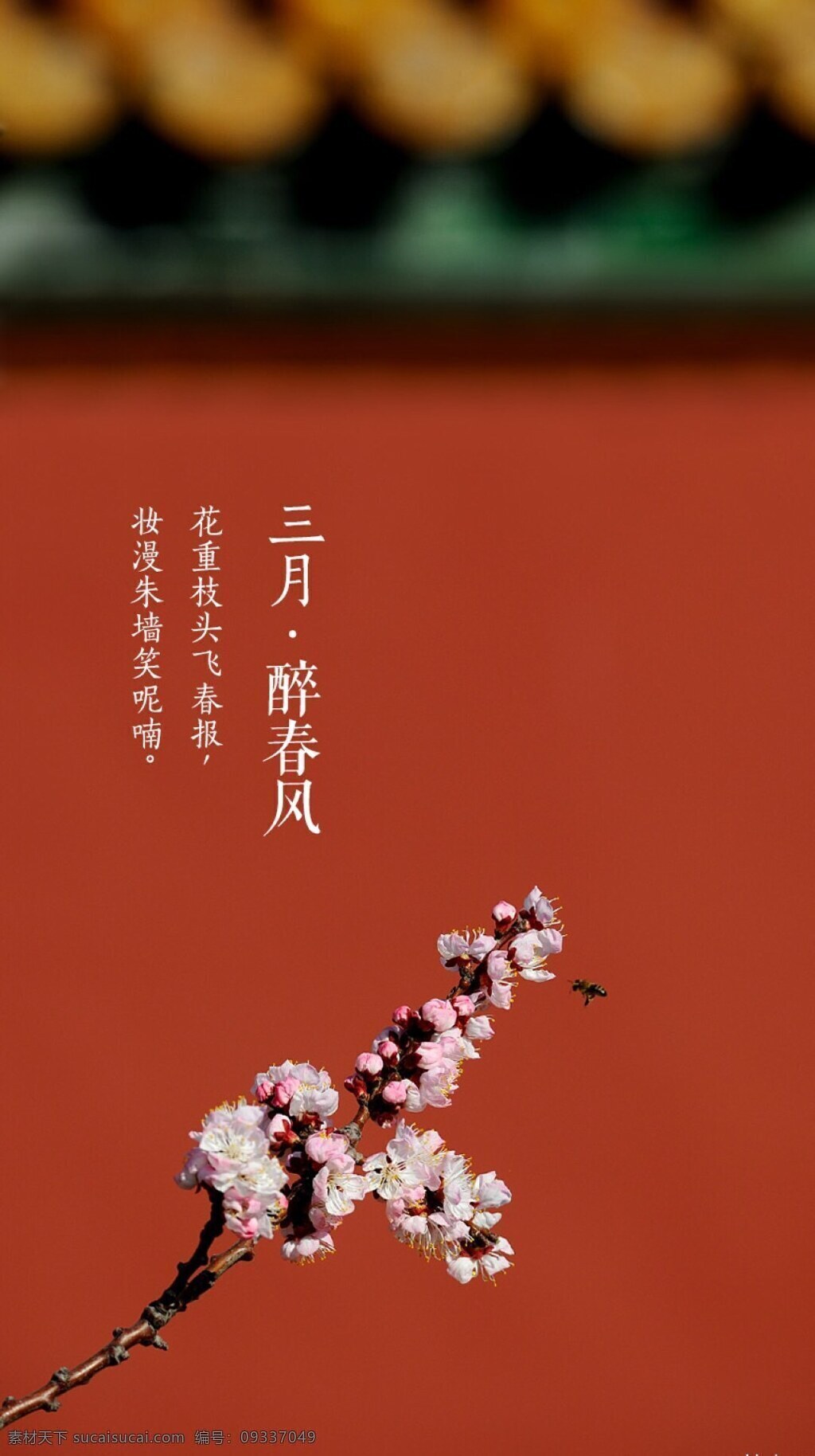 三月 花 宮殿 皇宮 紅墻