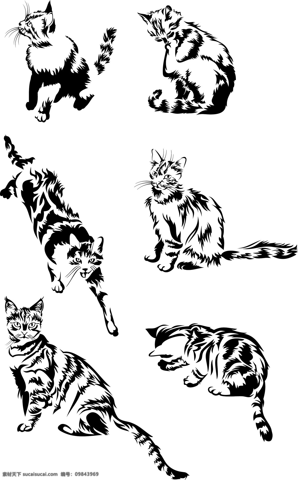 猫咪剪影 卡通 动物 可爱 卡通生物 动物剪影 猫咪 陆地动物 生物世界 矢量素材 白色