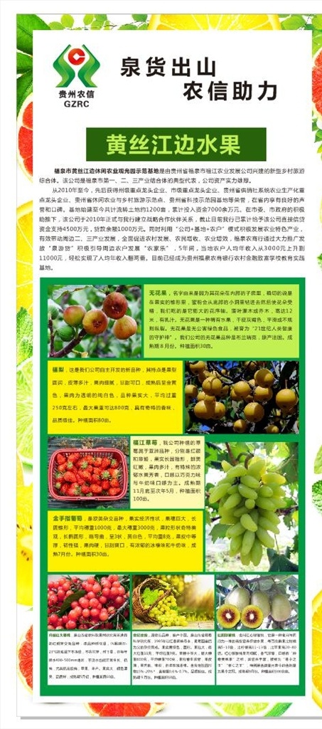 地方特色 农产品 海报 水果 农信助力 黄丝江边