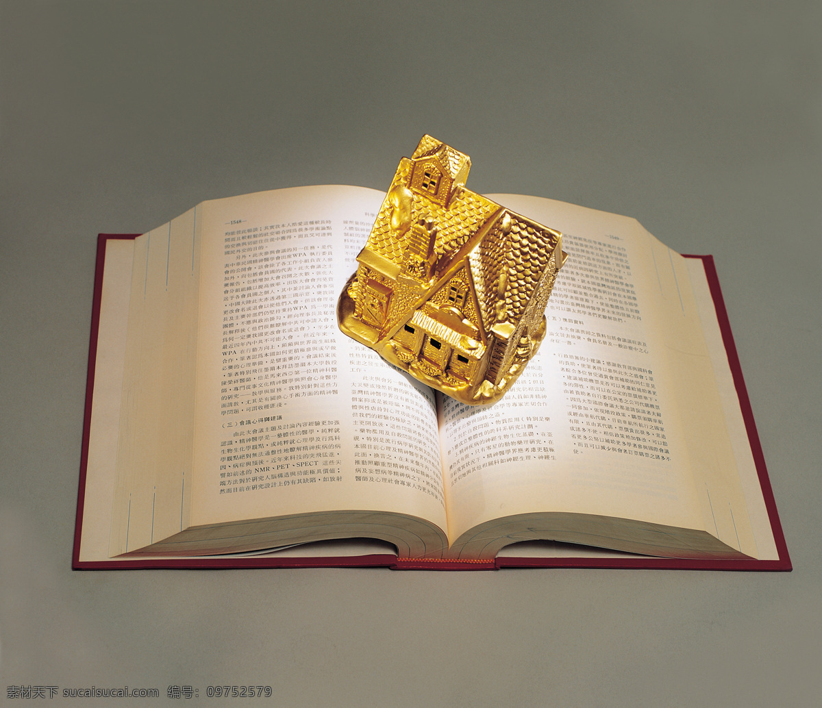 书 中 自有 黄金屋 黄金 金屋 金房子 放在 书上 金 房子 书中黄金屋 知识财富 文化艺术 摄影图库