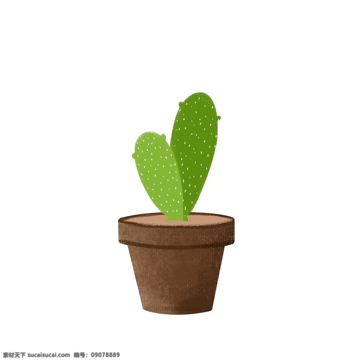 綠色植物 仙人掌 盆栽 綠色 植物 元素