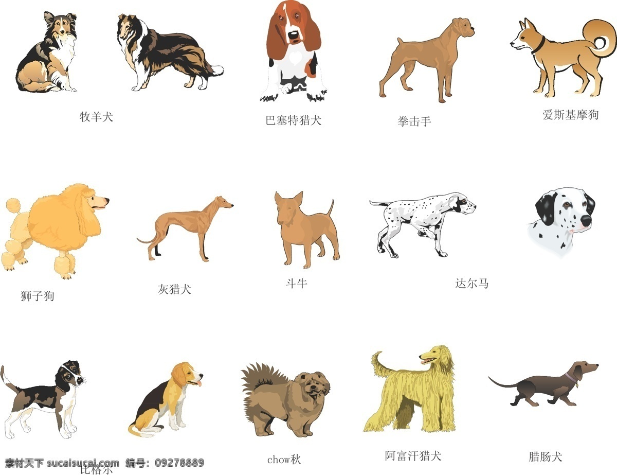 手繪各種狗 動物 狗 狗剪影 家禽家畜 卡通狗 生物世界 矢量圖庫 手繪狗 狗剪貼畫 牧羊犬 獵犬 獅子狗 國外狗 素描狗 白描狗 歐洲狗 達爾馬 臘腸犬 四不象 拳擊手 巴塞特 阿富汗 動物家禽家畜 矢量 其他矢量圖
