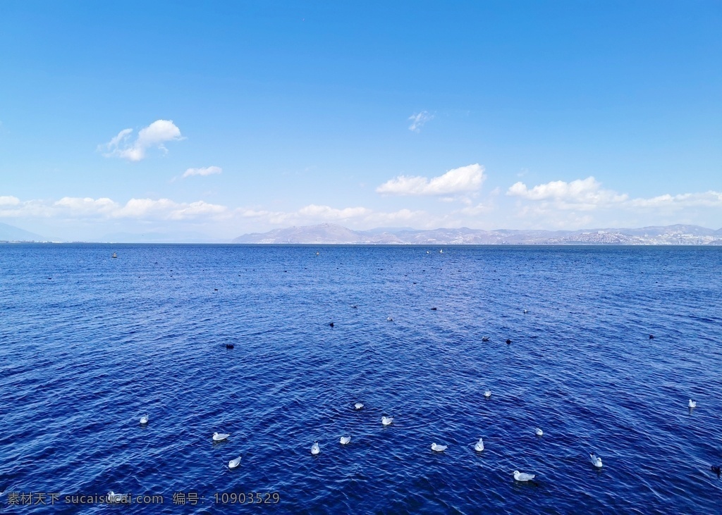 海天一线图片 蓝天白云 湖面 水波粼粼 海鸥 晴天 大海 自然景观 自然风景