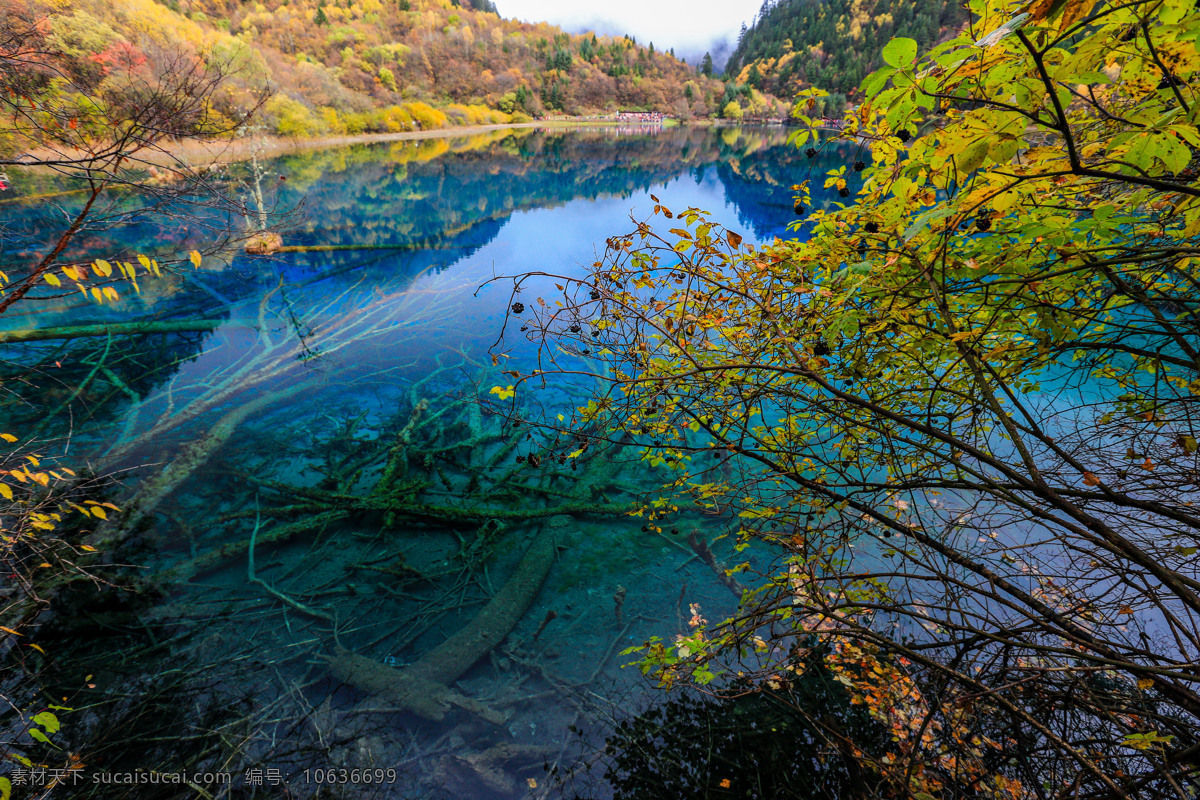 九寨溝五花海 四川 秋天美景 倒影 湖水 清澈 黃葉 海子 九寨精華 五花海 九寨溝 風(fēng)景名勝 山水旅游攝影 國內(nèi)旅游 旅游攝影