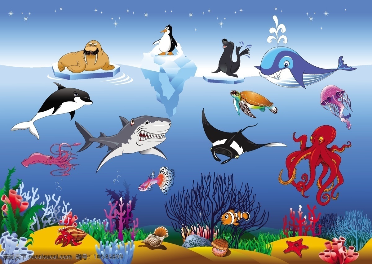 海底乐园生物 水底乐园 水草图片 水草 海马 海底生物 鱼 热带鱼 鲨鱼 海鱼 海龟
