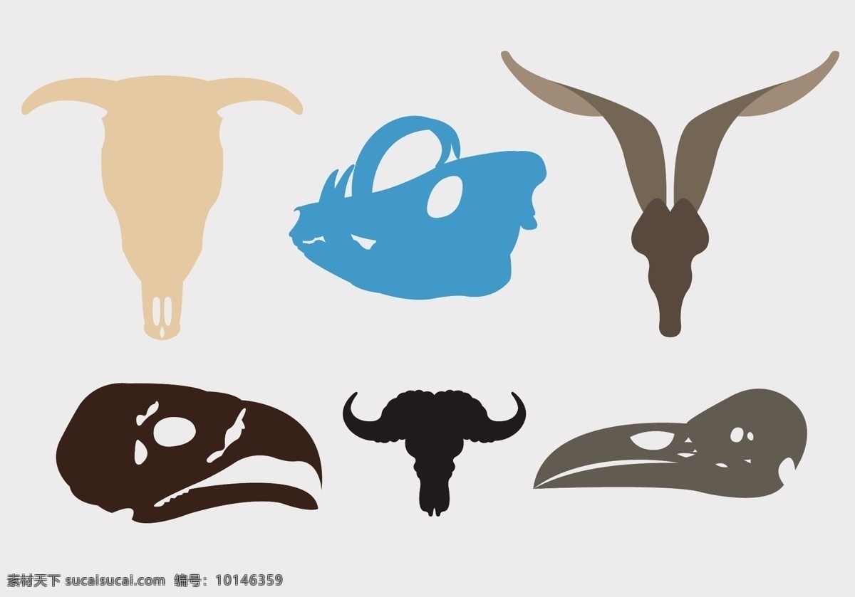 野生动物 头骨 卡通动物 动物素材 动物 手绘动物 矢量素材 扁平动物 矢量动物