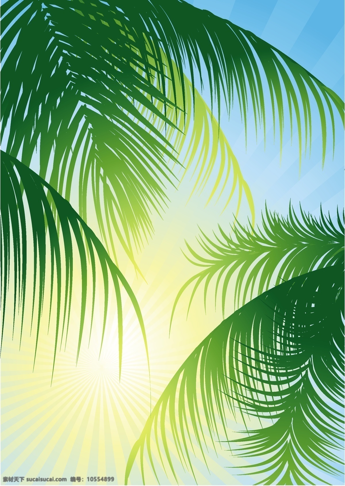 精美 自然风景 矢量 椰林 风光 蓝天 热情 阳光明媚 椰树 矢量图 其他矢量图