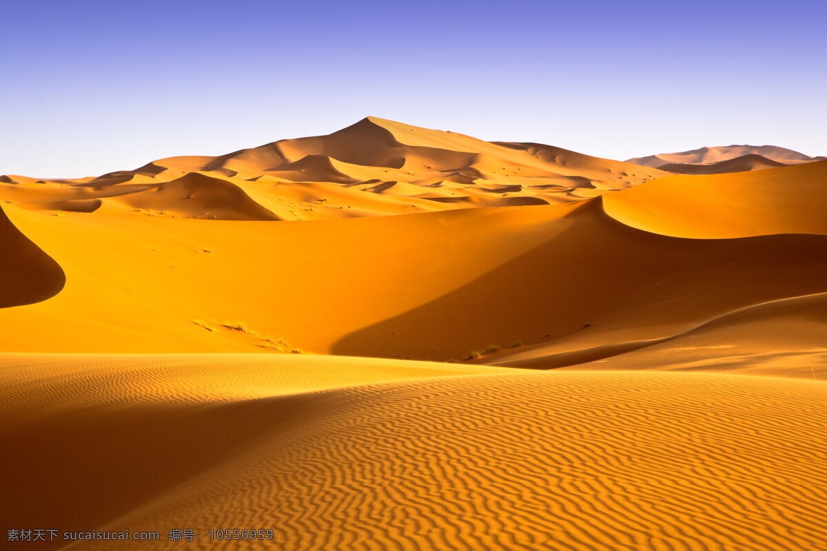 沙漠 沙丘 日落 人物 荒漠 自然景观 自然风景
