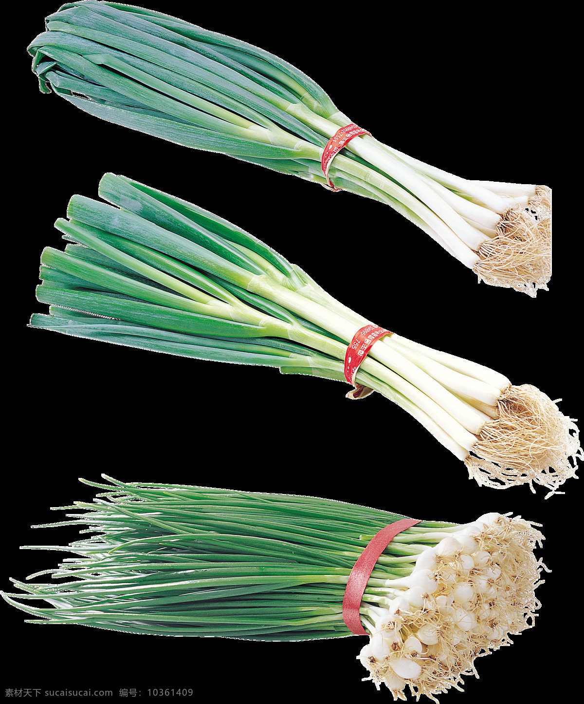 大蔥 高清 蔬菜 水果 食物 生物世界 廣告設(shè)計(jì)素材 生活用品 生活百科