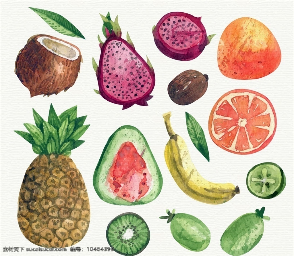 水彩 绘 水果 矢量 叶子 椰子 菠萝 火龙果 椰枣 高清图片