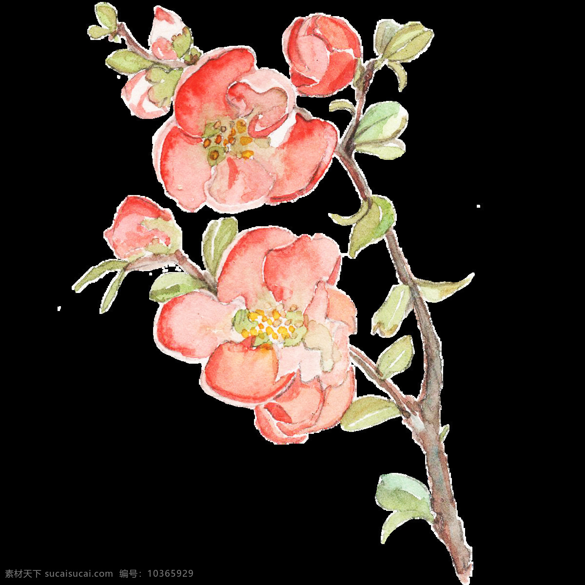 水彩花 復(fù)古風(fēng)格 玫瑰圖案 花卉背景 復(fù)古花卉圖案 手繪花卉 手繪花 花卉底紋 四方連續(xù)花紋 無縫拼貼壁紙 花卉印花 包裝紙 碎花墻紙 歐式花卉墻紙 花卉包裝紙 小碎花 布紋 手繪花卉底紋 復(fù)古花卉背景 壁紙 卡片設(shè)計 手繪 花 花卉 花朵 裝飾畫 花卉壁紙 梅花 玫瑰花 蓮花 桃花 水仙花 康乃馨
