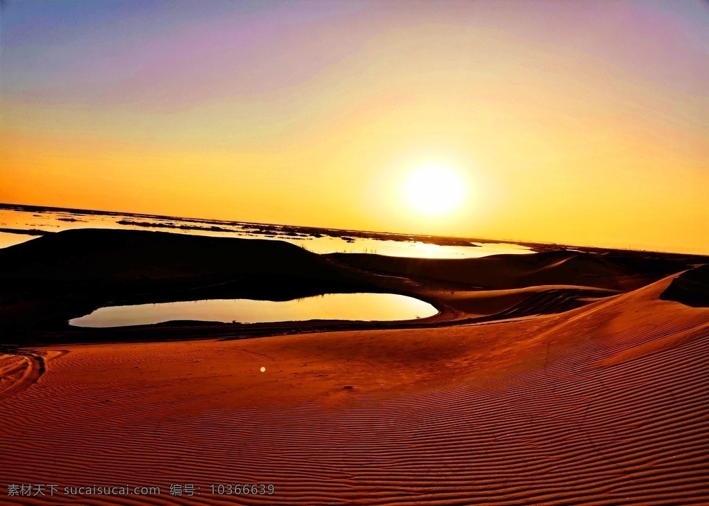 自然风景图片 自然风景 沙漠 地爬草 蓝天 日落 水 金色水面